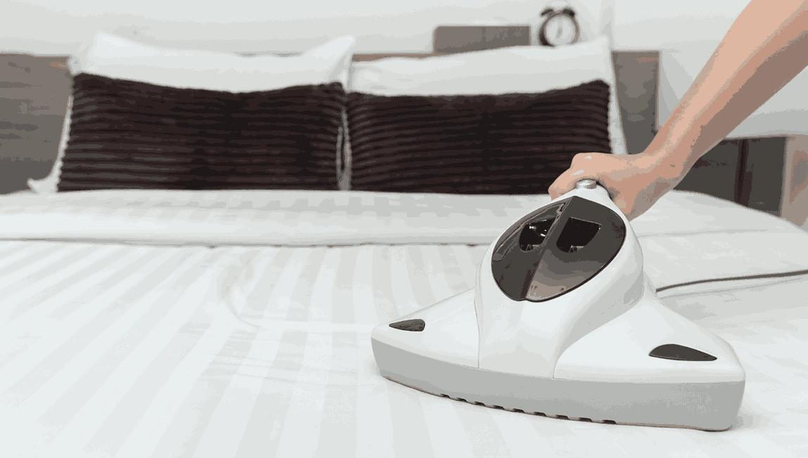 Professional Mattress Cleaning Lethbridge